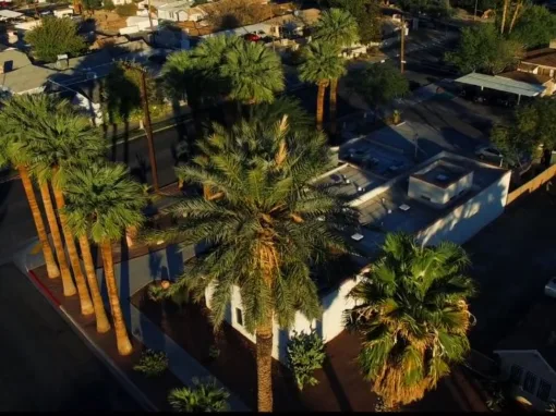 The Firm, a Nevada business operating from the building it owns